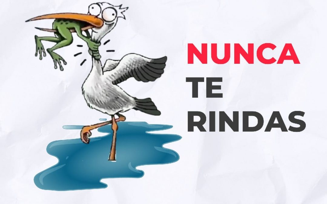 Nunca te rindas